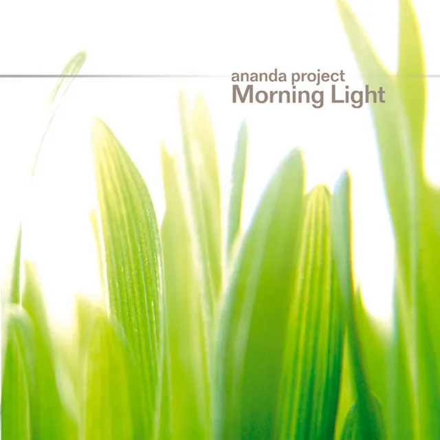 Ananda Project
