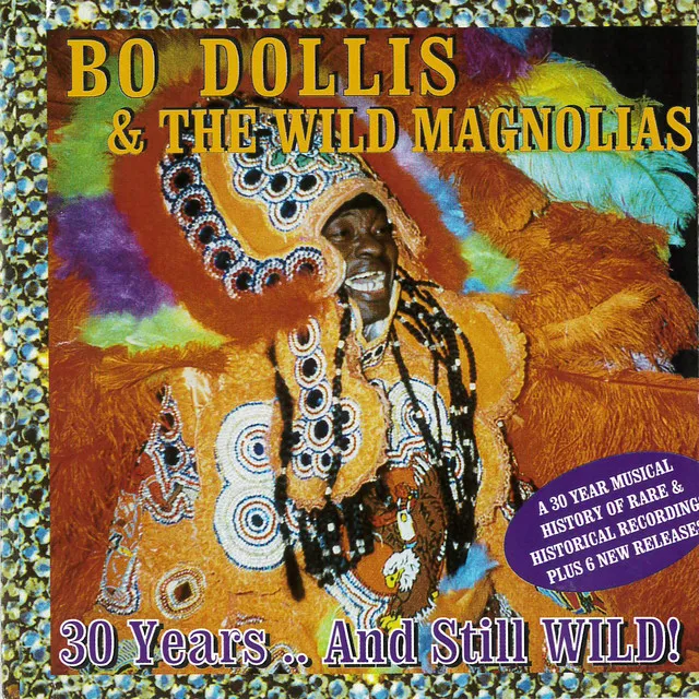 Bo Dollis & the Wild Magnolias