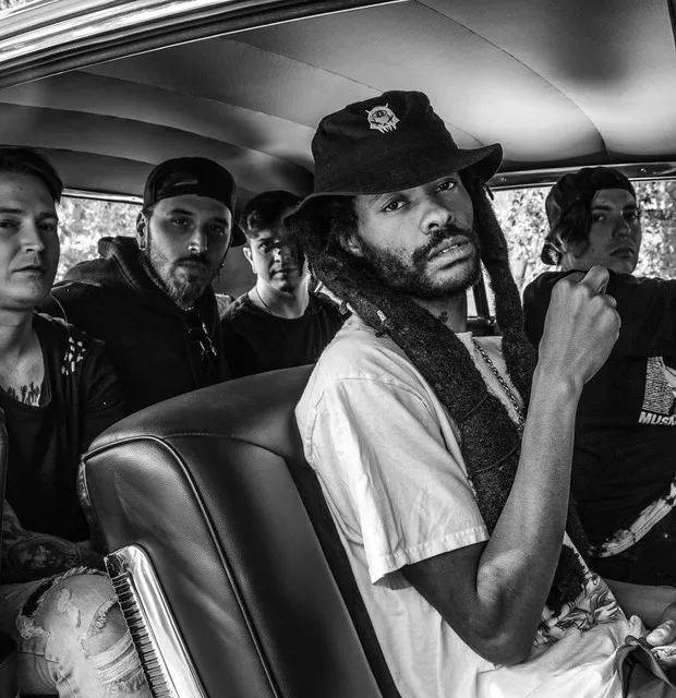 Dropout Kings