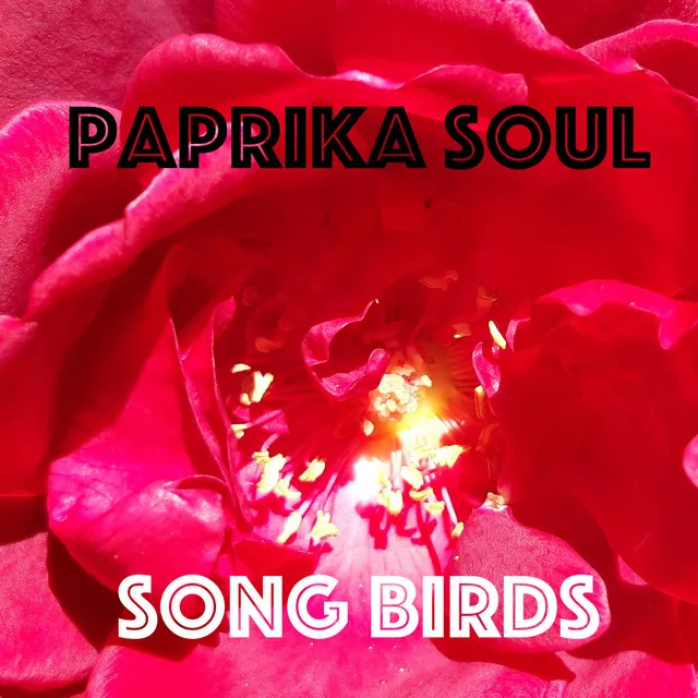 Paprika Soul