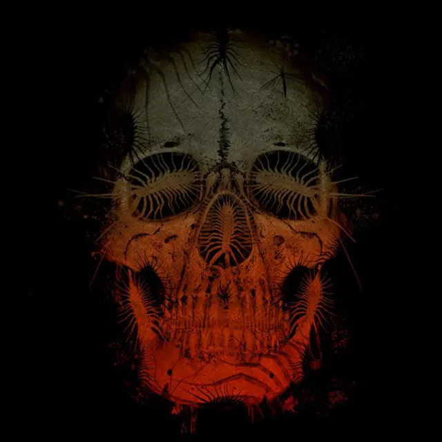 Breed77