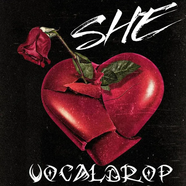 Vocaldrop