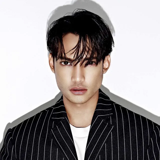 Hael Husaini