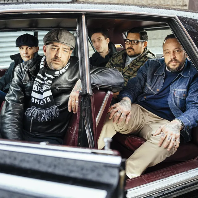 Street Dogs