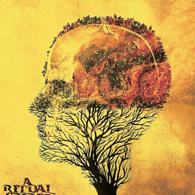 A Ritual Spirit