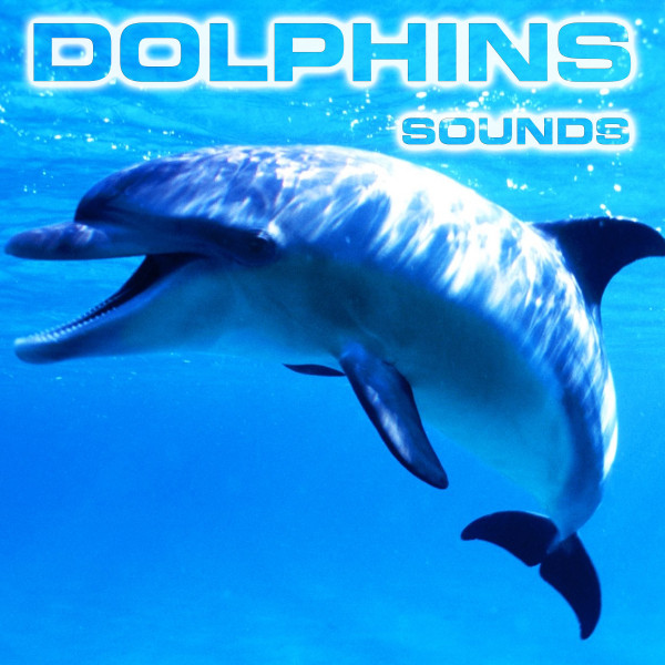 Dolphins
