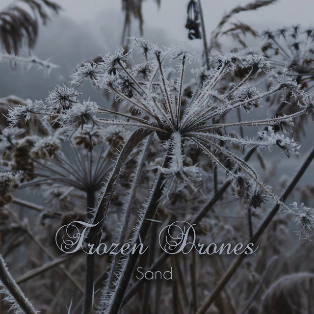 Frozen