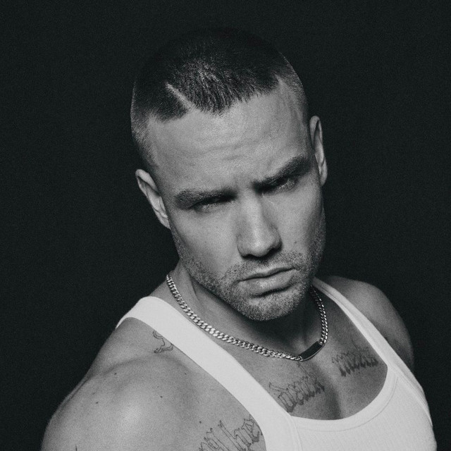 Liam Payne; Quavo