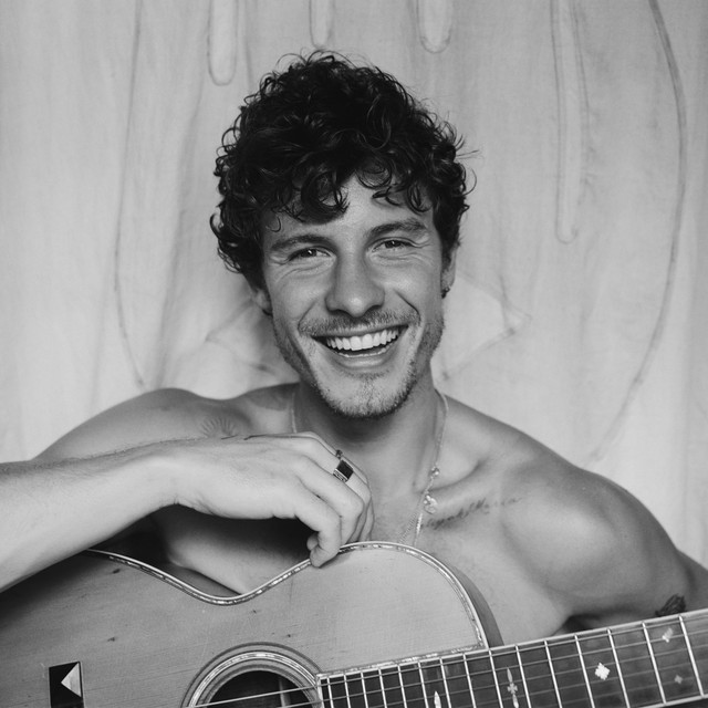 Shawn Mendes; Camila Cabello