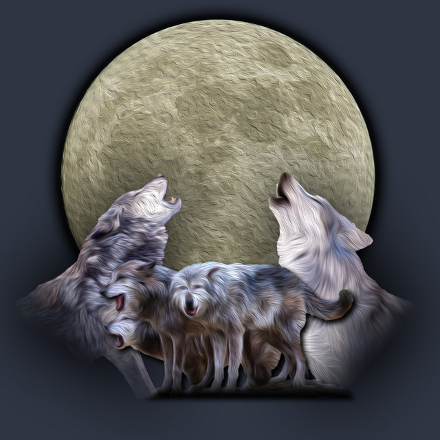 The Prairie Dogz