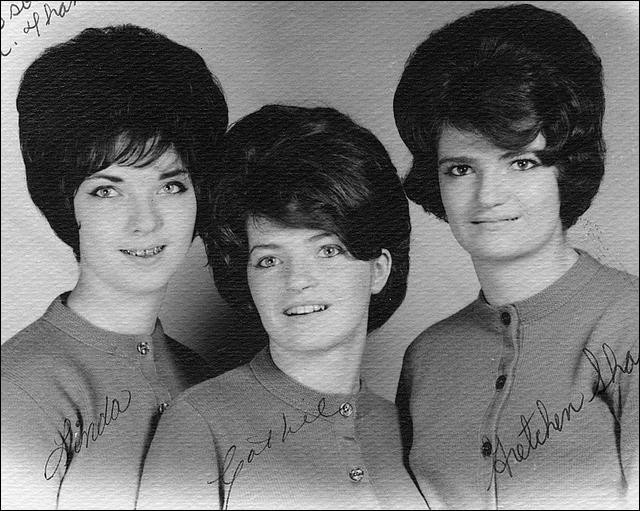 The Taffys