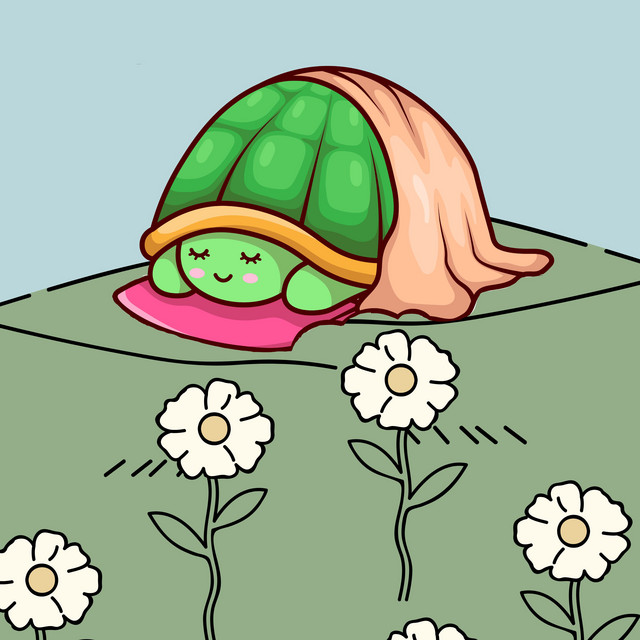 Tortoise